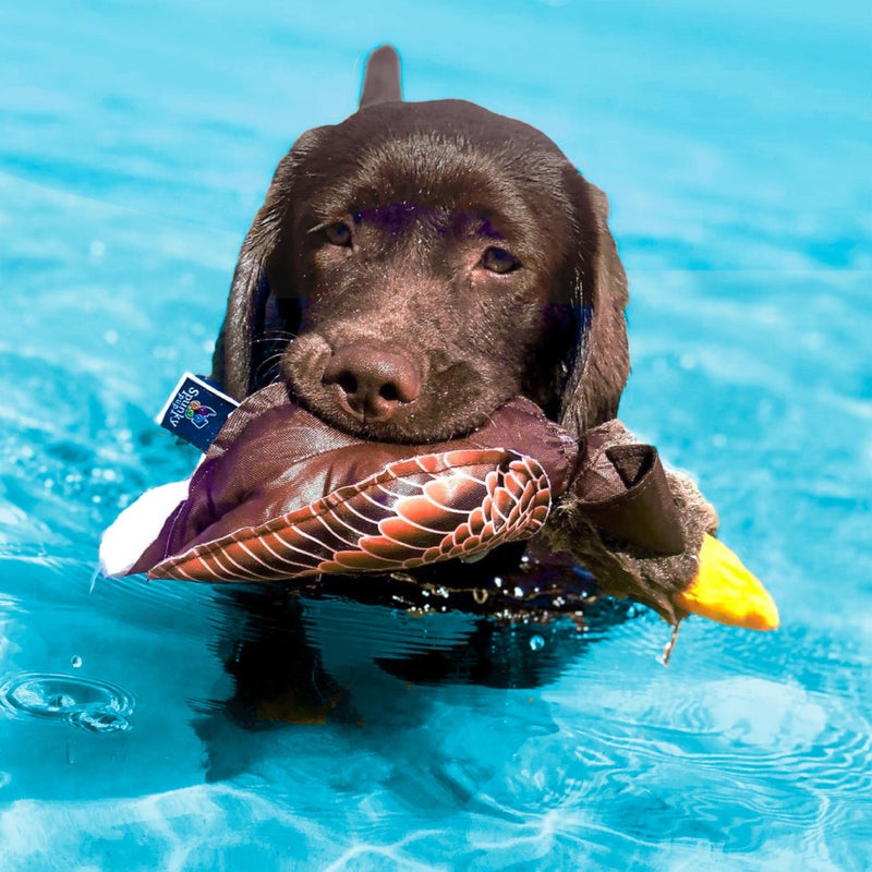 Spunky pup Fly & Fetch Plush Eagle Dog Toy | Interactive 100 ft Sling Shot Launcher with Built-In Bungee | Pull Back & Release | Durable Construction | Ballistic Fabric | Floats | For Medium Breeds - Image 3